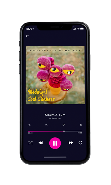 Tablet view of Premade Pop Album Cover - Teak #11495 | AlbumArtZone*