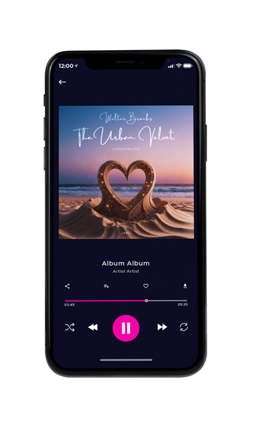 Tablet view of Premade Summer Hits Book Cover - Topaz #11810 | AlbumArtZone*