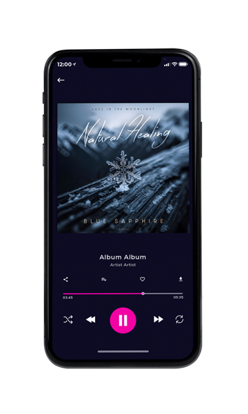Tablet view of Premade Christmas Music Book Cover - Mirage #11870 | AlbumArtZone*