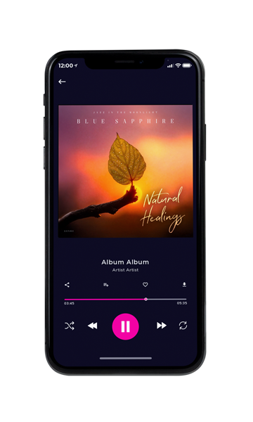 Tablet view of Premade Traditional Jazz & Blues Album Cover - Santa Fe #11875 | AlbumArtZone*