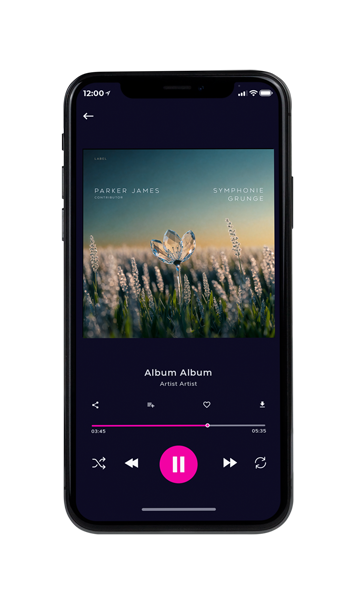 Tablet view of Premade Indie & Folk Music Book Cover - Nandor #11890 | AlbumArtZone*