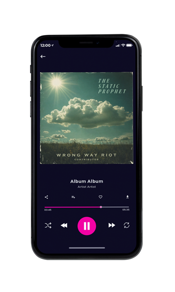 Tablet view of Premade Country & Acoustic Album Cover - Cactus #11983 | AlbumArtZone*