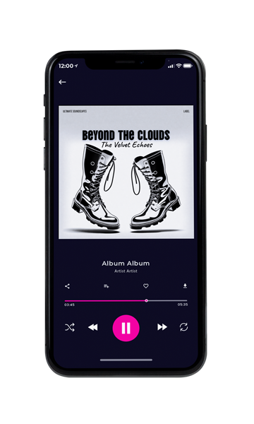 Tablet view of Premade Pop Album Cover - Cod Gray #16137 | AlbumArtZone*