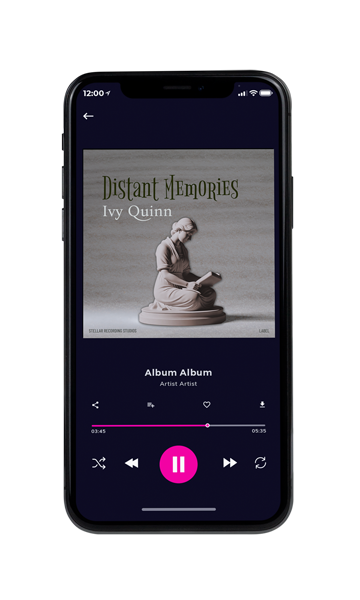 Tablet view of Premade Contemporary Music Album Cover - Natural Gray #16311 | AlbumArtZone*