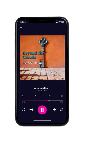 Tablet view of Premade Podcast Book Cover - Copper #16322 | AlbumArtZone*