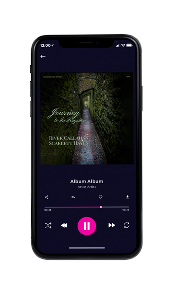Tablet view of Premade Indie & Folk Music Book Cover - Hunter Green #16857 | AlbumArtZone*
