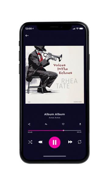 Tablet view of Premade Traditional Jazz & Blues Album Cover - Cod Gray #16928 | AlbumArtZone*