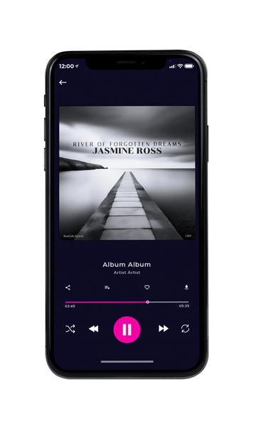 Tablet view of Premade Electronica & Ambient Book Cover - Silver #17089 | AlbumArtZone*