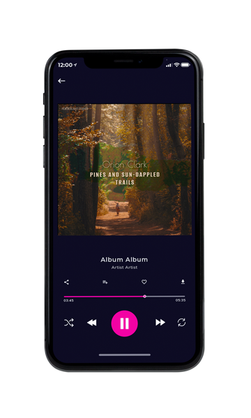 Tablet view of Premade Country & Acoustic Book Cover - Bistre #17201 | AlbumArtZone*
