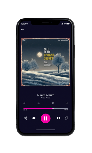 Tablet view of Premade Indie & Folk Music Album Cover - Limed Spruce #17438 | AlbumArtZone*