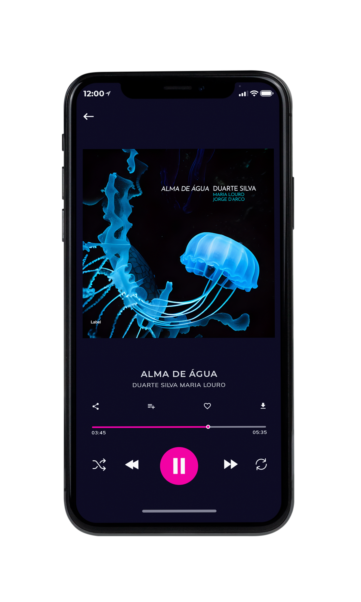 Tablet view of Premade Pop Album Cover - Ebony #20245 | AlbumArtZone*