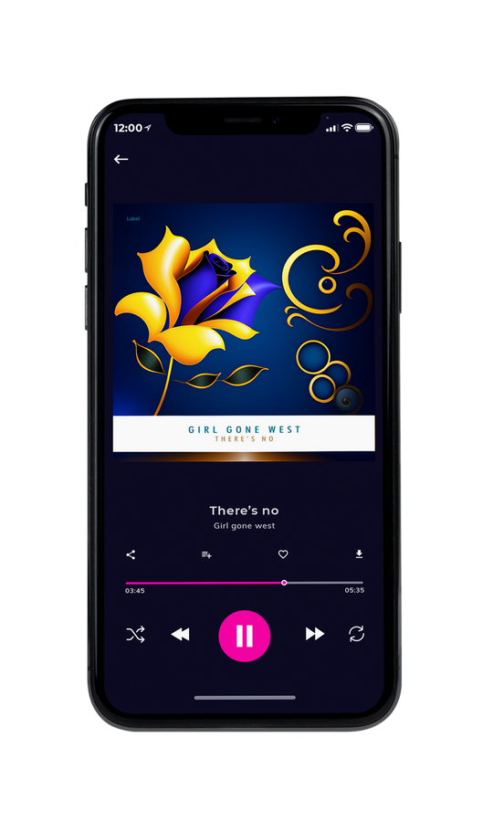 Tablet view of Premade Classical & Romantic Music Album Cover - Ronchi #21034 | AlbumArtZone*