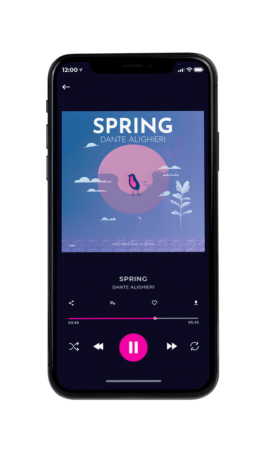 Tablet view of Premade Dance & House Album Cover - Waikawa Gray #21185 | AlbumArtZone*