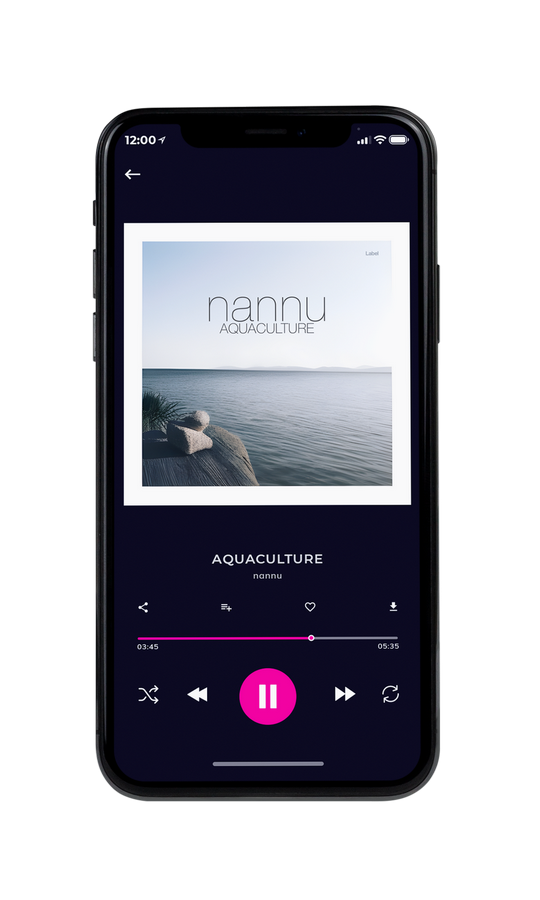 Tablet view of Premade Contemporary Music Album Cover - Geyser #21335 | AlbumArtZone*