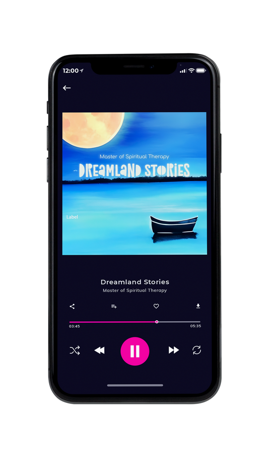 Tablet view of Premade Podcast Album Cover - Seagull #21460 | AlbumArtZone*