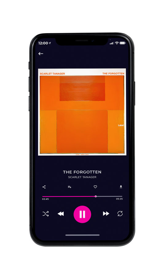 Tablet view of Premade Traditional Jazz & Blues Album Cover - Zest #21485 | AlbumArtZone*