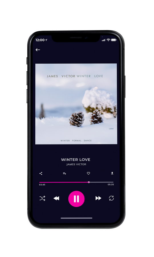 Tablet view of Premade Christmas Music Book Cover - Mischka #21502 | AlbumArtZone*