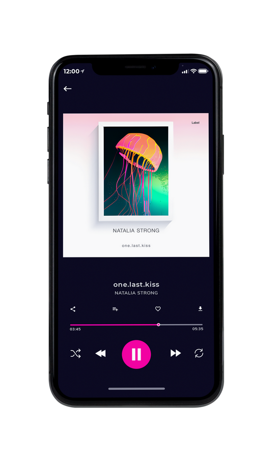 Tablet view of Premade Contemporary Music Album Cover - Bizarre #21525 | AlbumArtZone*