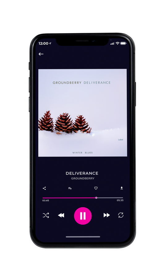 Tablet view of Premade Christmas Music Album Cover - Snuff #21566 | AlbumArtZone*