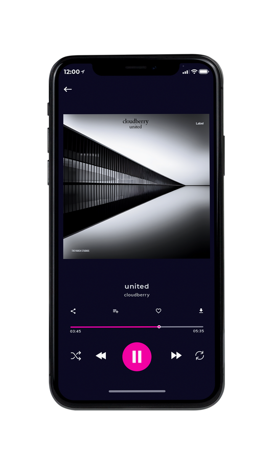 Tablet view of Premade Hip-hop, Rap & Trap Album Cover - Quill Gray #21613 | AlbumArtZone*
