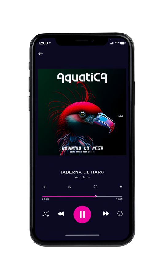 Tablet view of Premade Pop Album Cover - Aztec #21709 | AlbumArtZone*