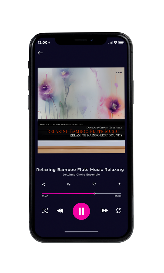 Tablet view of Premade Classical & Romantic Music Album Cover - Silk #21727 | AlbumArtZone*