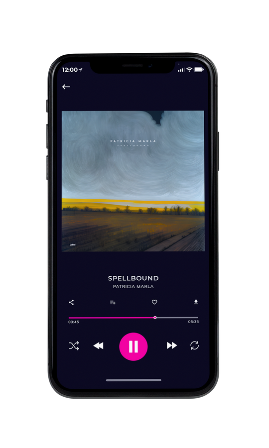 Tablet view of Premade Electronica & Ambient Book Cover - Regent Gray #22109 | AlbumArtZone*