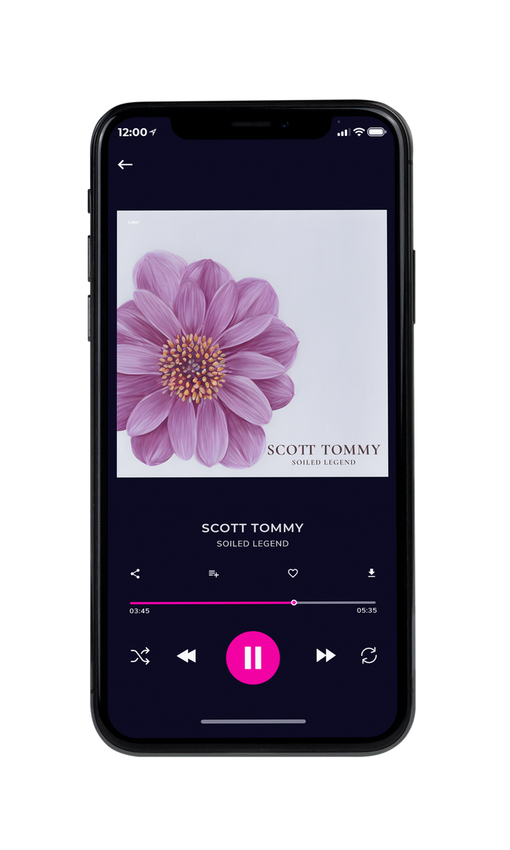 Tablet view of Premade Pop Album Cover - Bon Jour #22202 | AlbumArtZone*