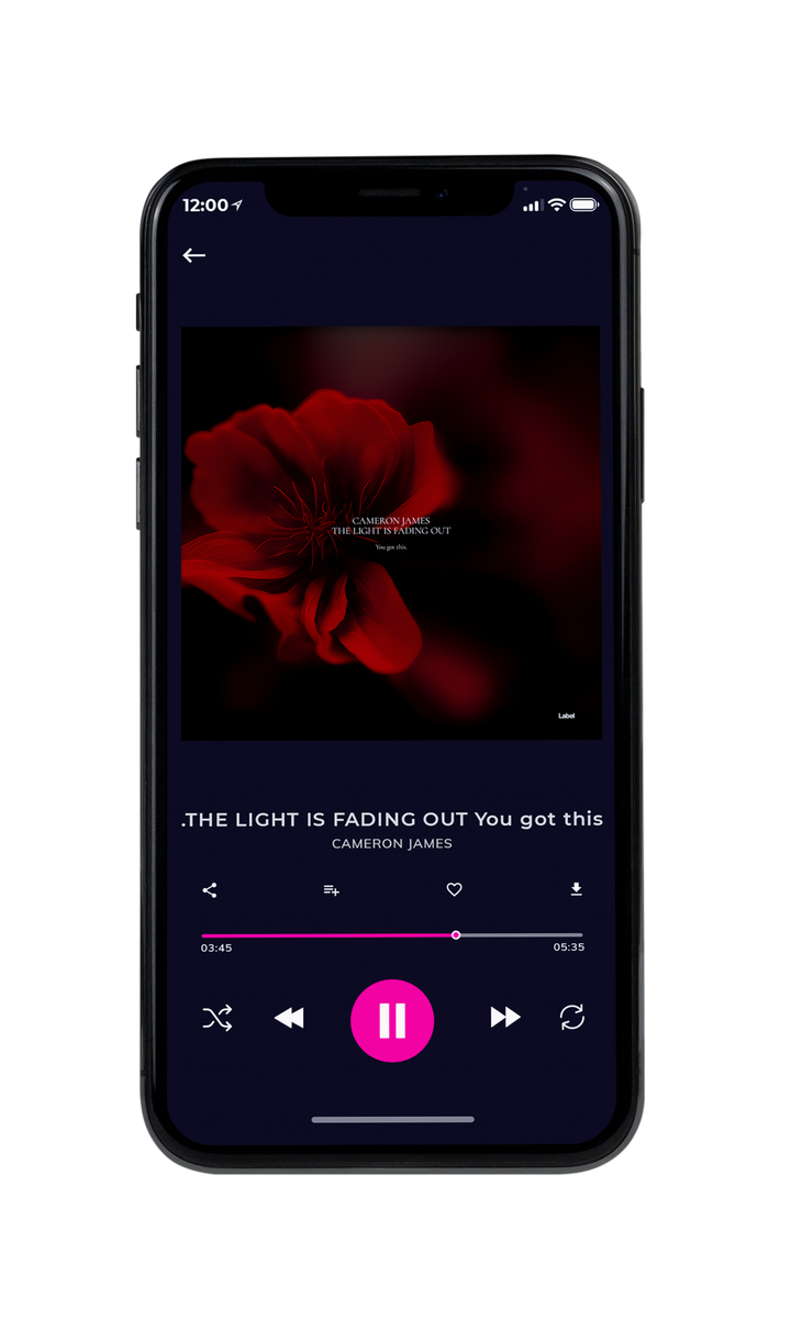 Tablet view of Premade Contemporary Music Album Cover - Creole #22341 | AlbumArtZone*