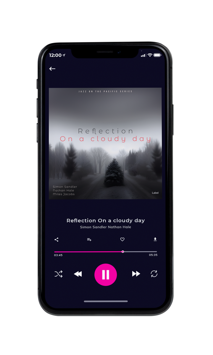 Tablet view of Premade Pop Album Cover - Ship Gray #22650 | AlbumArtZone*