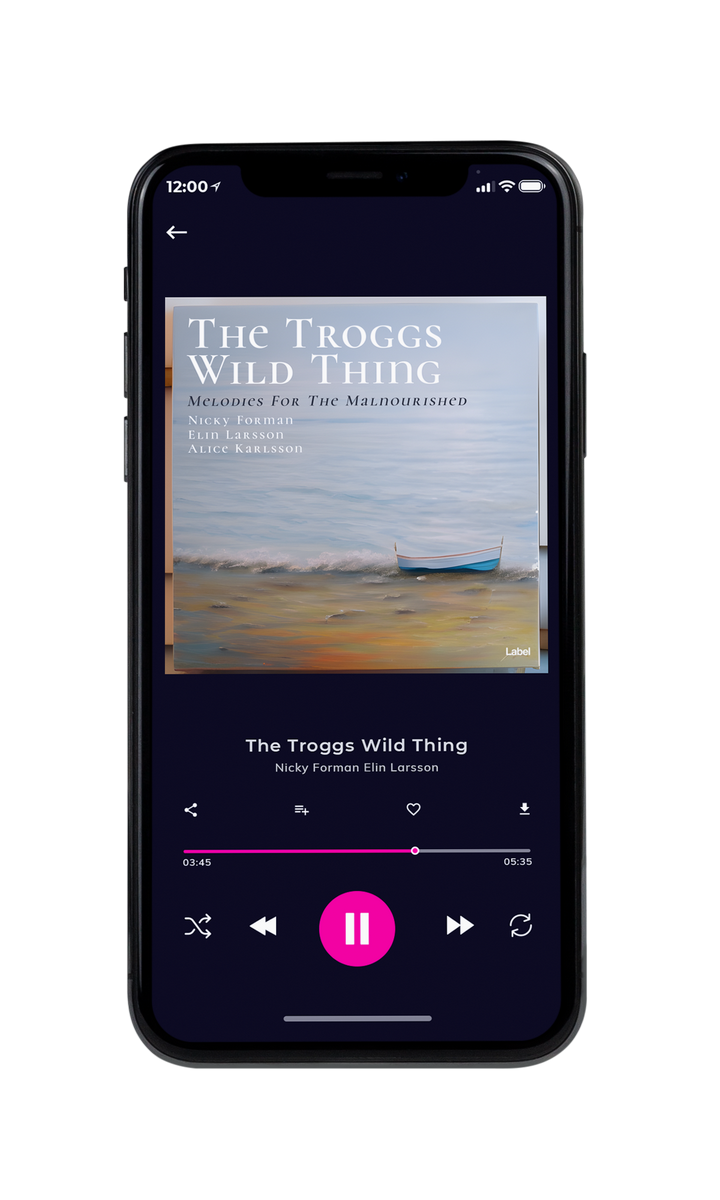 Tablet view of Premade Contemporary Music Album Cover - Gray Nickel #22720 | AlbumArtZone*
