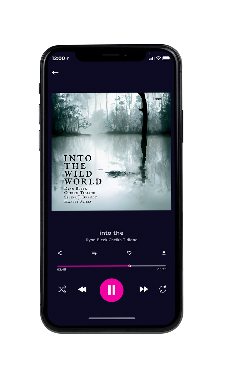 Tablet view of Premade Contemporary Music Album Cover - Powder Ash #22754 | AlbumArtZone*