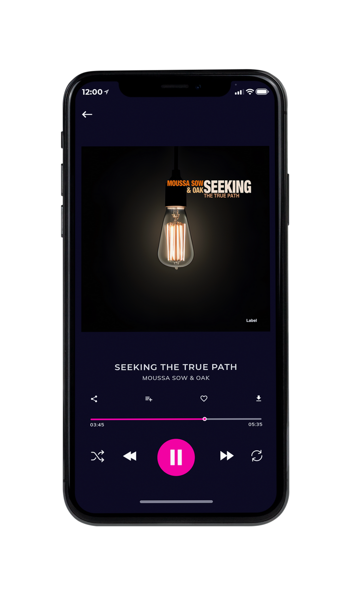 Tablet view of Premade Pop Album Cover - Cod Gray #22783 | AlbumArtZone*
