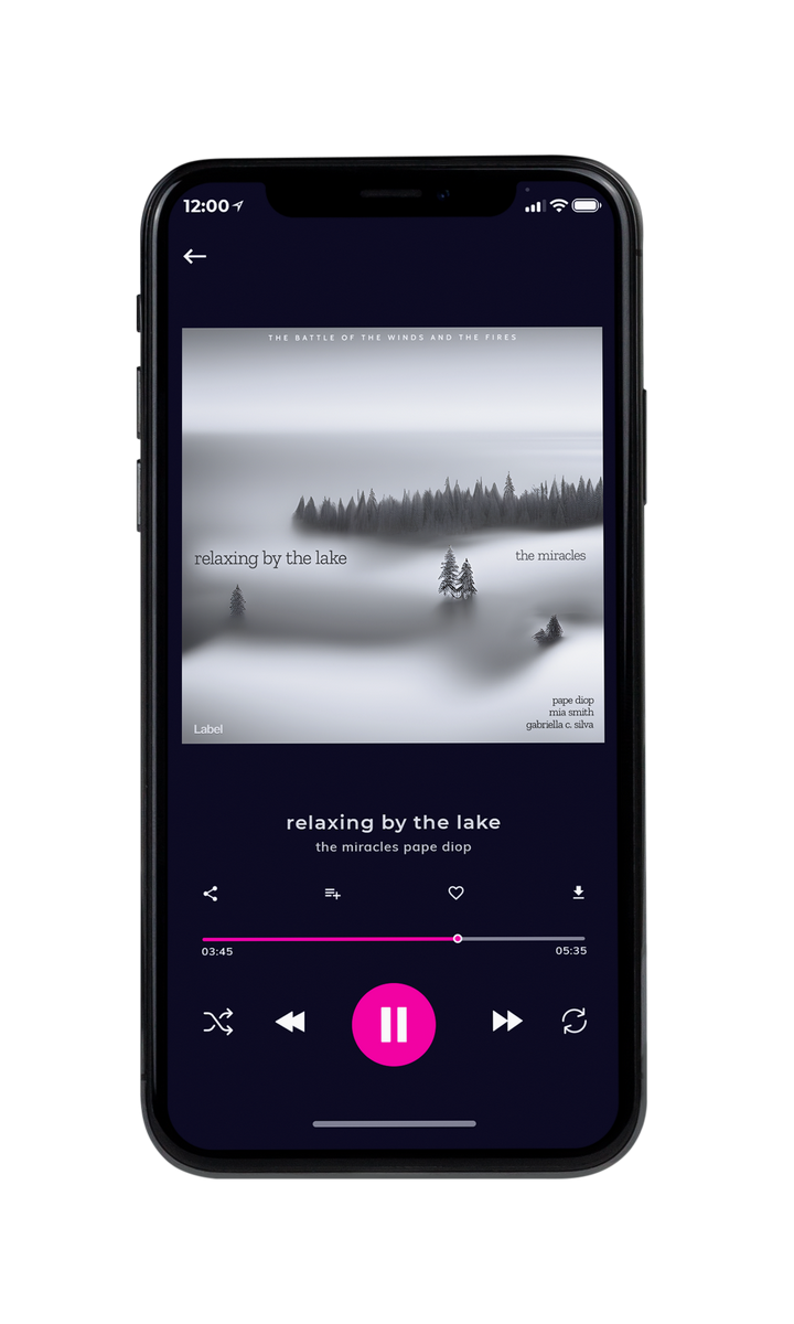 Tablet view of Premade Contemporary Music Album Cover - Silver #22822 | AlbumArtZone*