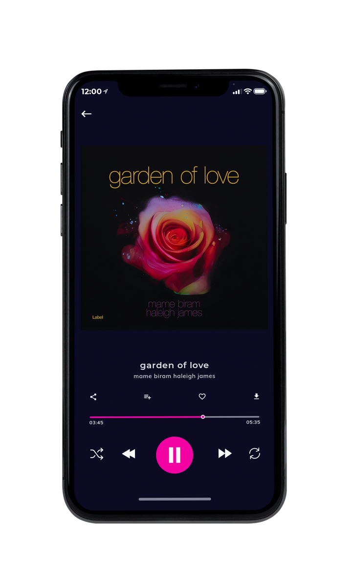 Tablet view of Premade Pop Album Cover - Gondola #22840 | AlbumArtZone*