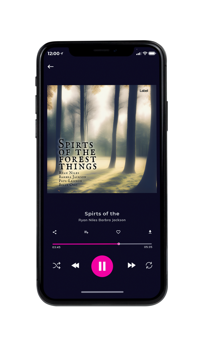Tablet view of Premade Contemporary Music Album Cover - Chino #22995 | AlbumArtZone*