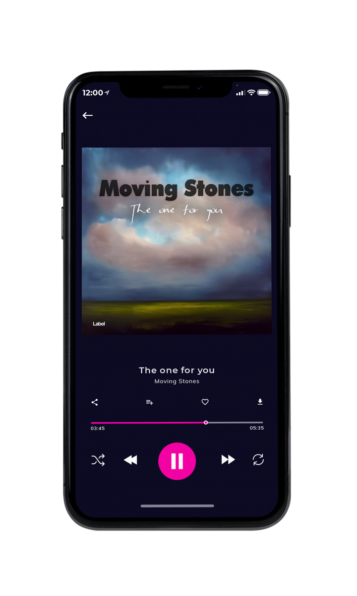 Tablet view of Premade Country & Acoustic Album Cover - Shuttle Gray #23089 | AlbumArtZone*