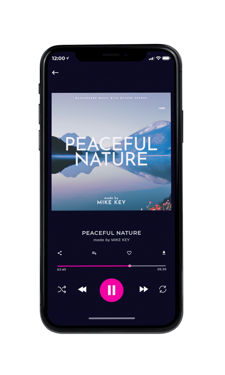 Tablet view of Premade Podcast Album Cover - French Gray #23467 | AlbumArtZone*