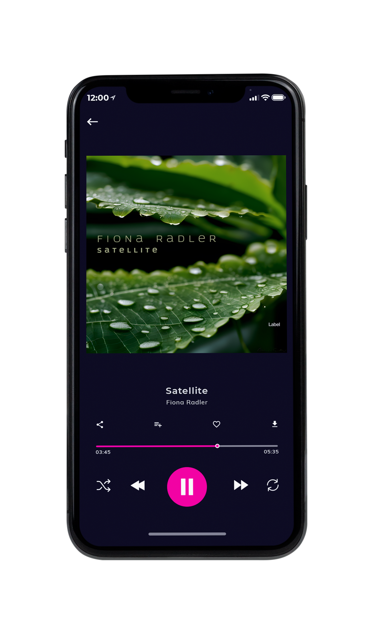 Tablet view of Premade New Age Album Cover - Seaweed #23684 | AlbumArtZone*