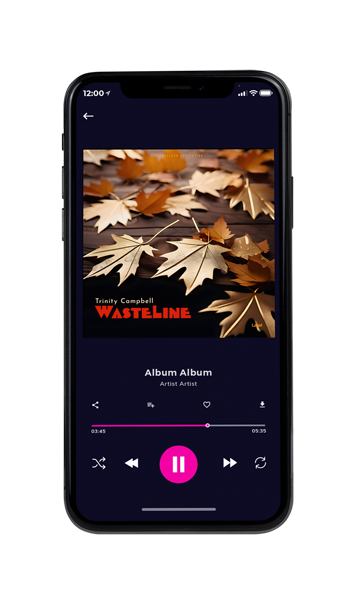 Tablet view of Premade Indie & Folk Music Album Cover - Oil #23722 | AlbumArtZone*