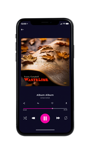 Tablet view of Premade Pop Album Cover - Cork #23723 | AlbumArtZone*