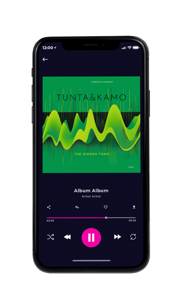 Tablet view of Premade EDM, House & Dub Album Cover - Fruit Salad #23832 | AlbumArtZone*