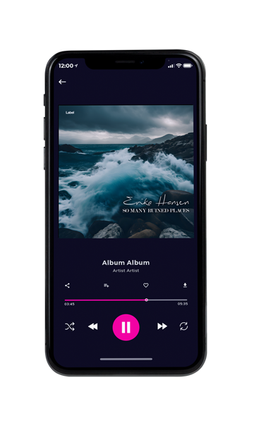 Tablet view of Premade Indie & Folk Music Book Cover - Pickled Bluewood #23852 | AlbumArtZone*