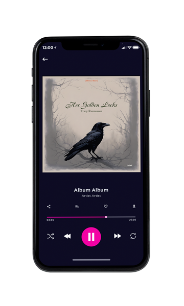 Tablet view of Premade Indie & Folk Music Album Cover - Bison Hide #23873 | AlbumArtZone*