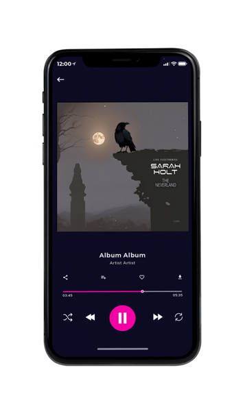 Tablet view of Premade Pop Album Cover - Flint #24079 | AlbumArtZone*