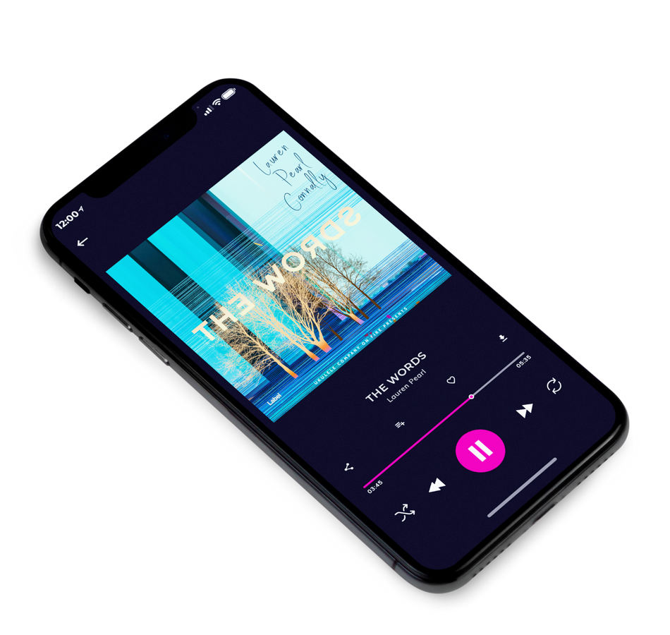 3D view of Premade Summer Hits Album Cover - Zanah #86 | AlbumArtZone*