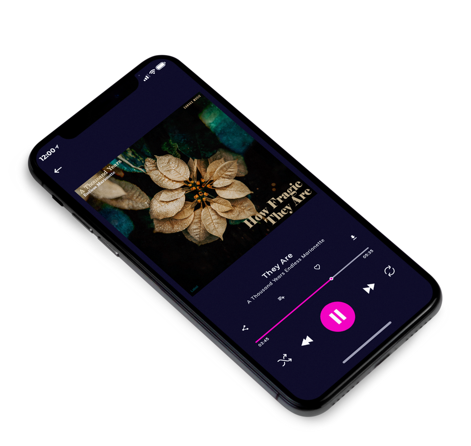 3D view of Premade Early Music Album Cover - Sandal #1891 | AlbumArtZone*