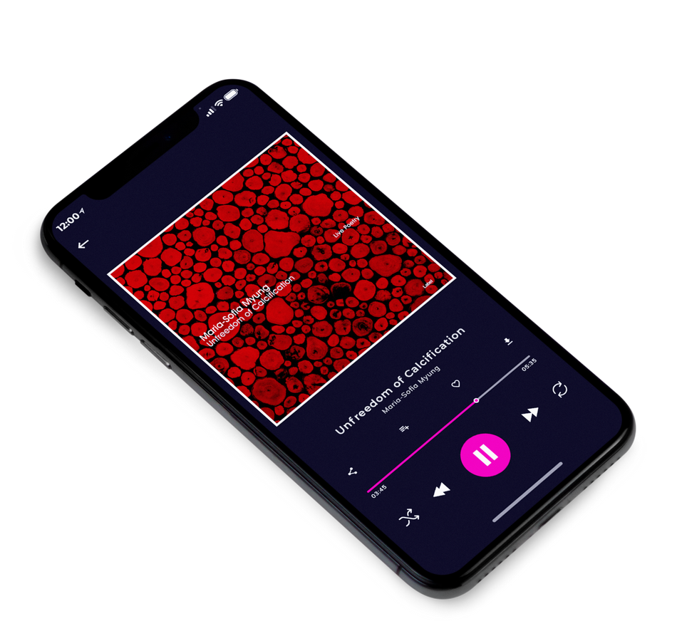 3D view of Premade Contemporary Music Album Cover - Red Berry #3328 | AlbumArtZone*