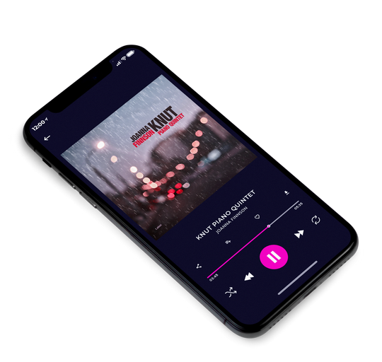 3D view of Premade Funk & Fusion Album Cover - Tundora #7307 | AlbumArtZone*