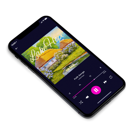 3D view of Premade Dance & House Album Cover - Pesto #7461 | AlbumArtZone*